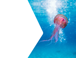 Nature_St2 (220).png