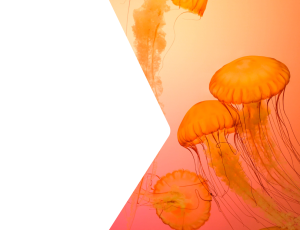 Nature_St2 (223).png