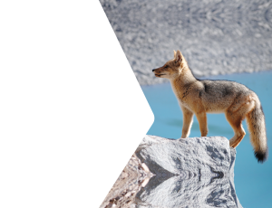 Nature_St2 (274).png