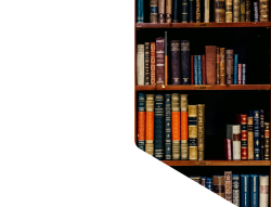 Education_St1(15).png
