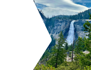 Nature_St2 (354).png