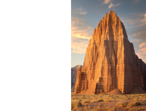 Nature_St3 (15).png