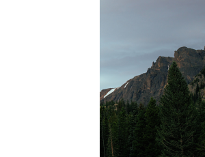 Nature_St3 (31).png