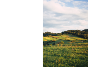 Nature_St3 (51).png