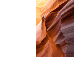 Nature_St3 (71).png