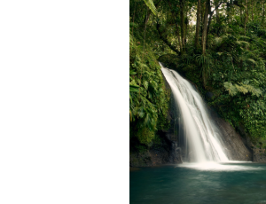 Nature_St3 (95).png