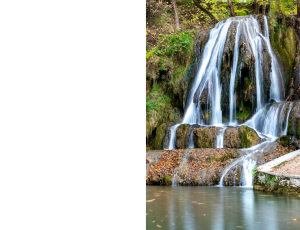 Nature_St3 (102).png