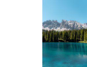 Nature_St3 (119).png