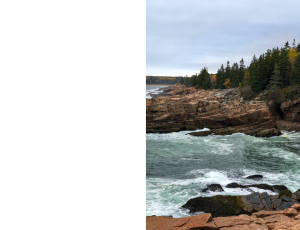 Nature_St3 (126).png