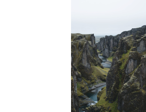 Nature_St3 (132).png