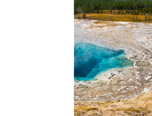 Nature_St3 (135).png
