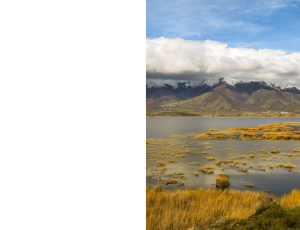 Nature_St3 (137).png