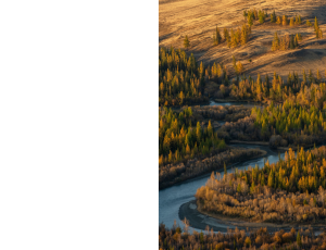 Nature_St3 (139).png