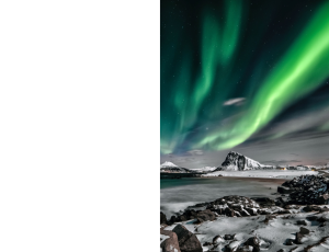 Nature_St3 (141).png