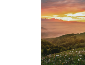 Nature_St3 (145).png