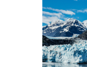 Nature_St3 (151).png