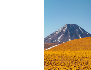 Nature_St3 (154).png