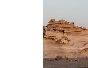Nature_St3 (160).png