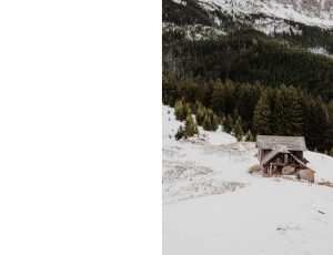 Nature_St3 (168).png