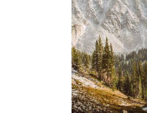 Nature_St3 (171).png