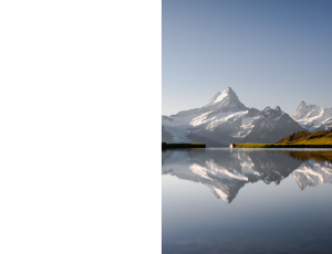 Nature_St3 (172).png