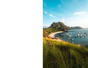 Nature_St3 (180).png