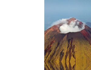 Nature_St3 (182).png