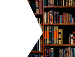 Education_St2(15).png