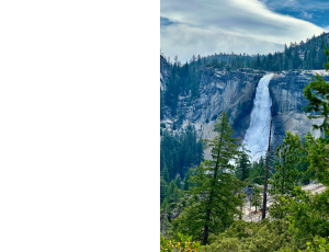 Nature_St3 (354).png