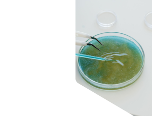 Science_St1(11).png