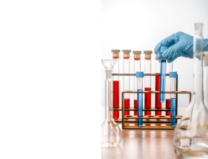 Science_St3(5).png