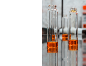 Science_St3(7).png