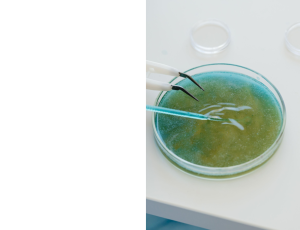 Science_St3(11).png