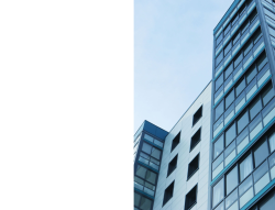 Business_St3(19).png
