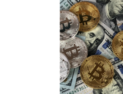 Business_St3(40).png