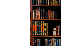 Education_St3(15).png
