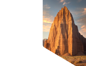 Nature_St1 (15).png