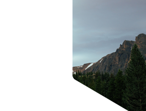 Nature_St1 (31).png