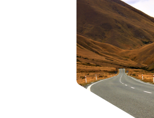 Nature_St1 (34).png
