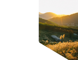 Nature_St1 (40).png