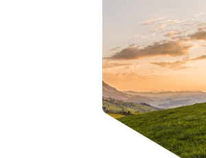 Nature_St1 (51).png