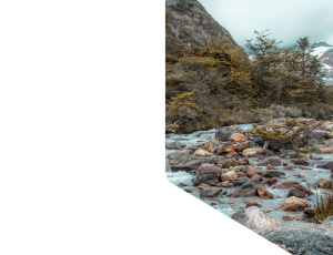 Nature_St1 (91).png
