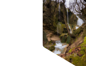 Nature_St1 (106).png