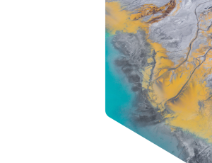 Nature_St1 (119).png