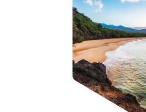 Nature_St1 (126).png