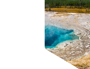 Nature_St1 (135).png