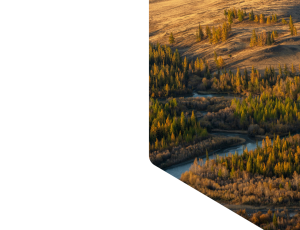 Nature_St1 (139).png