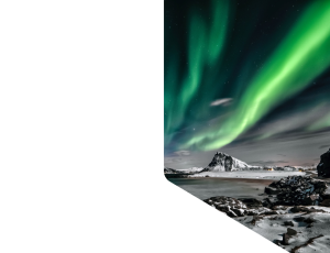 Nature_St1 (141).png