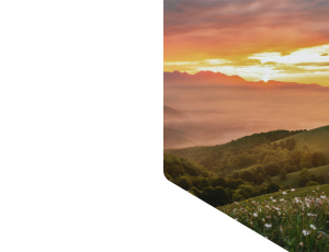 Nature_St1 (145).png