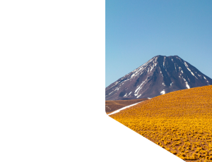 Nature_St1 (154).png